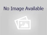 A2284110, a Pit Bull Terrier, available for adoption